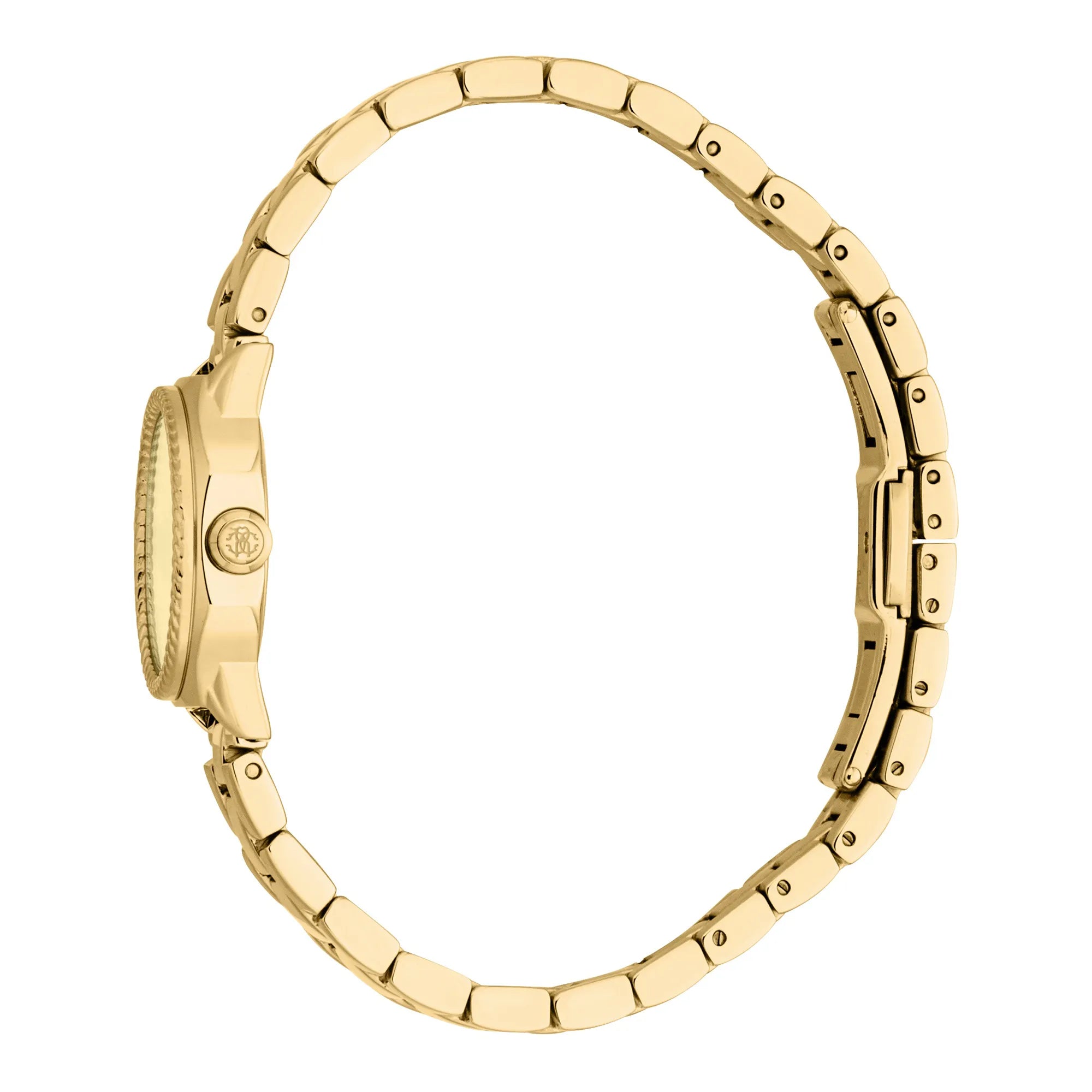 Roberto Cavalli Roberto Cavalli Lady RC5L122M0055 — immagine 3
