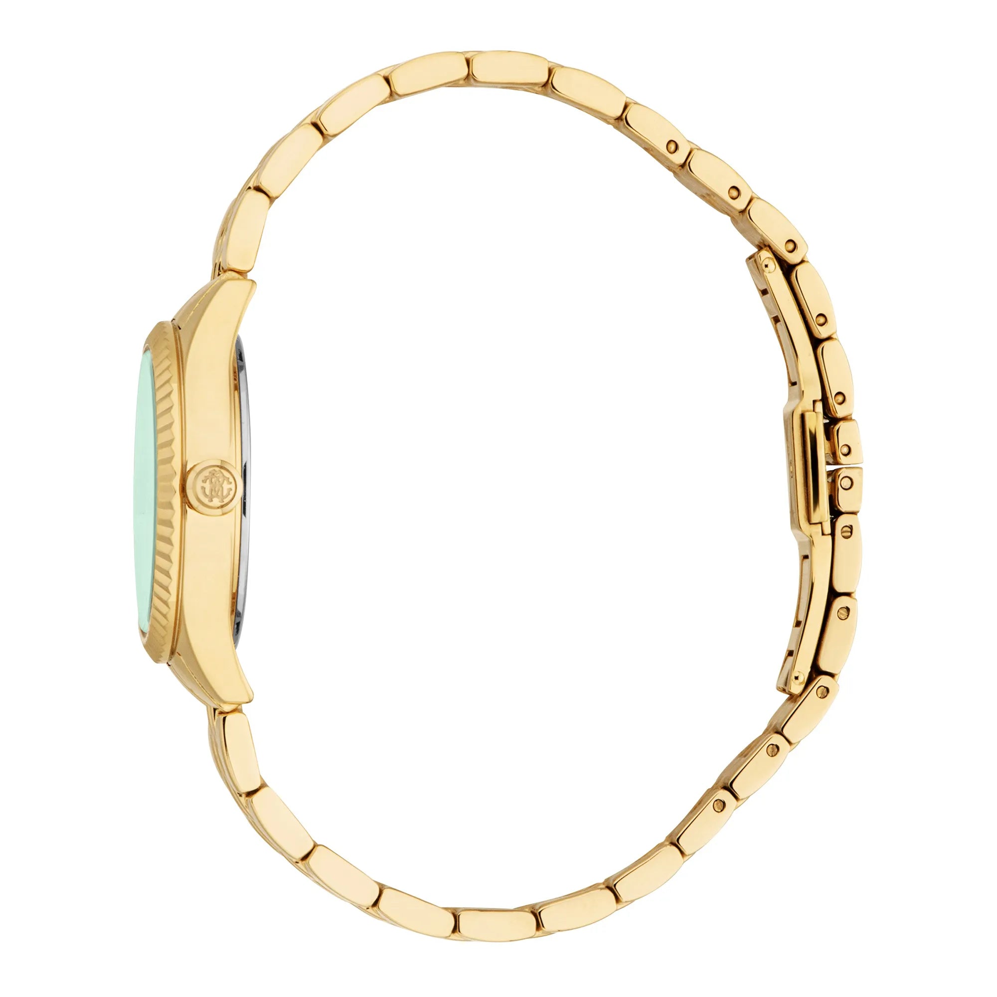 Roberto Cavalli Roberto Cavalli Lady RC5L124M0065 — immagine 3