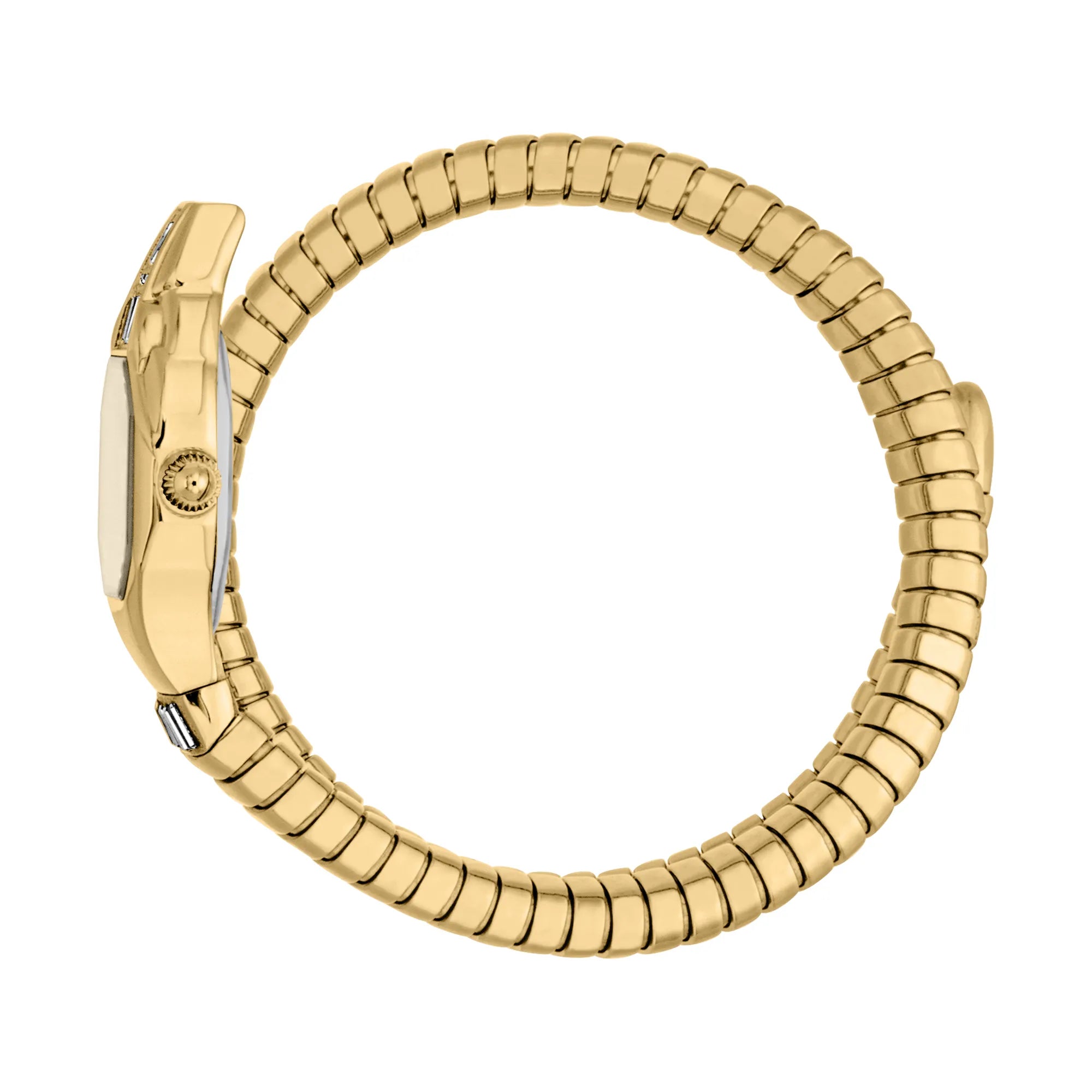 Just Cavalli Just Cavalli Signature Snake Brillante Snake Yellow Gold Champagne — immagine 3
