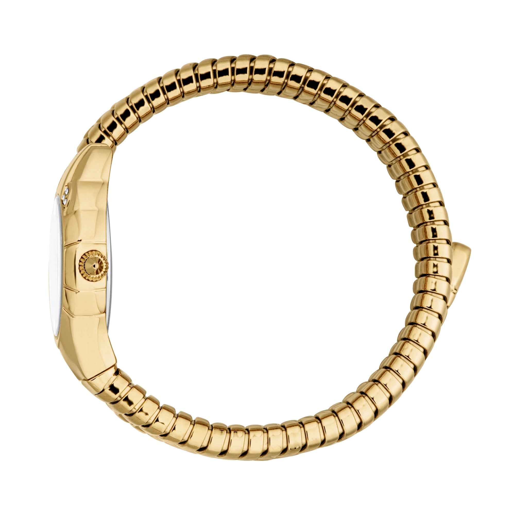 Just Cavalli Just Cavalli Signature Snake Amanta Yellow Gold Silver — immagine 3